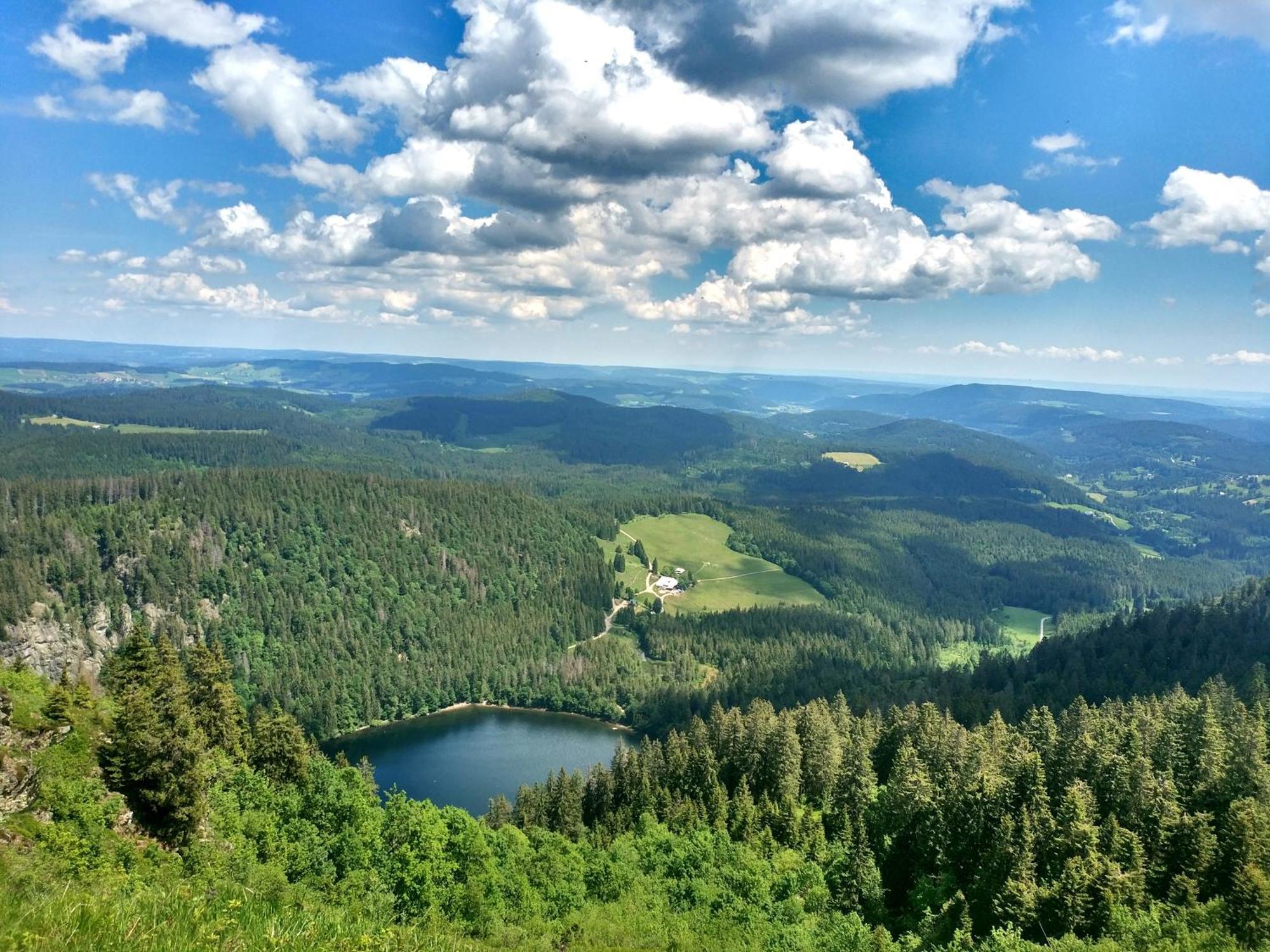 Ferienwohnung Seeblick Nr 2 5-Zimmerwohnung - Feldberg Baerental Rotwasser Luaran gambar