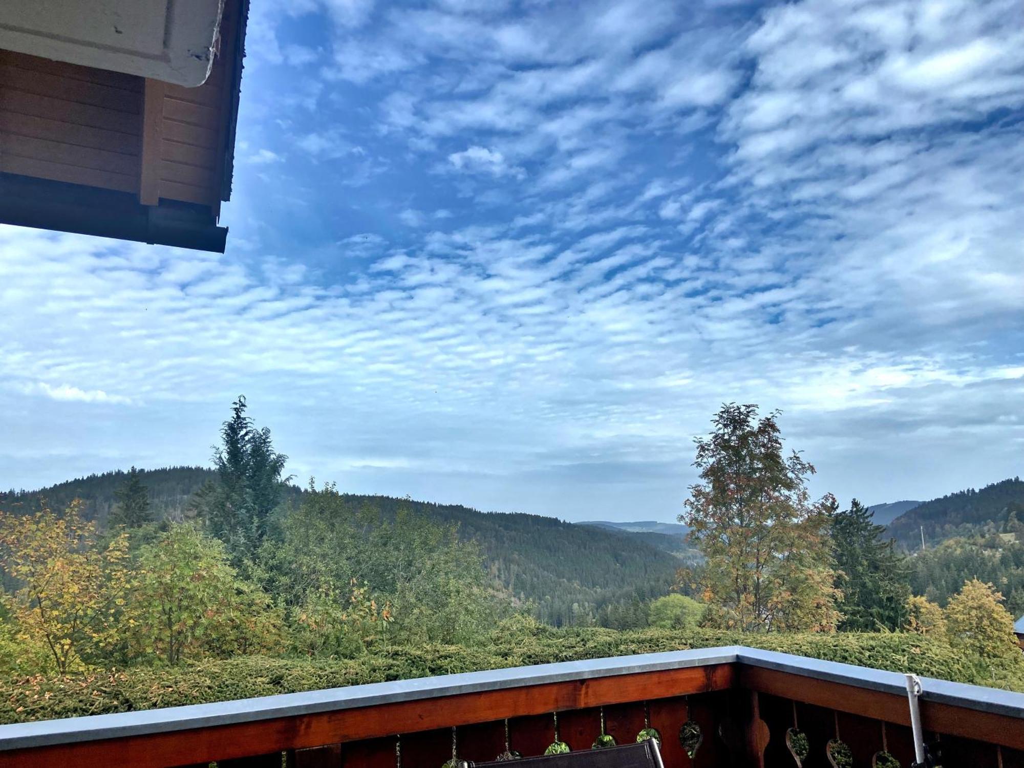 Ferienwohnung Seeblick Nr 2 5-Zimmerwohnung - Feldberg Baerental Rotwasser Luaran gambar